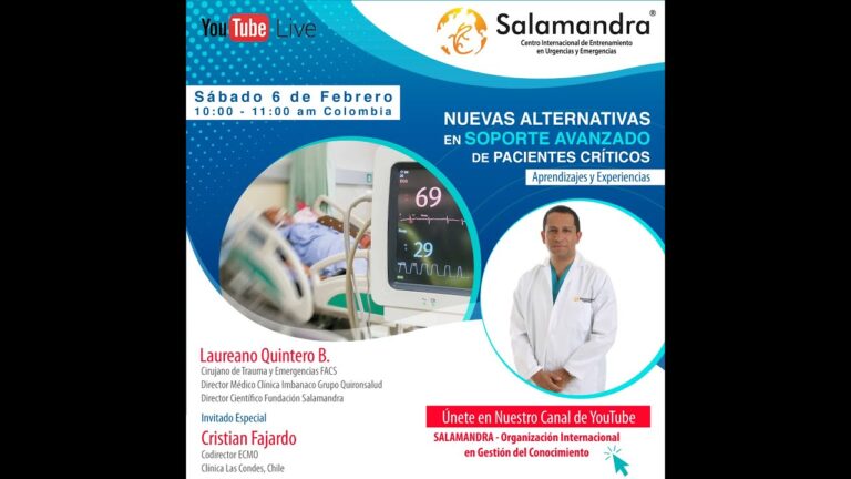 Cursos de Salamandra en Chile: Aprendizaje y Oportunidades