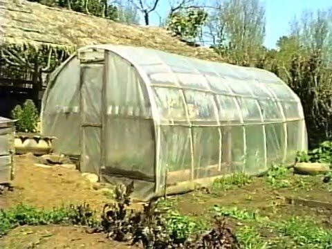 Cursos de Huertos Org&aacute;nicos en Chile: Cultiva Sostenibilidad