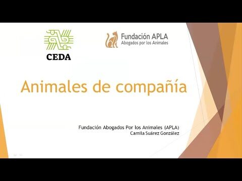 Mejores Cursos de Bienestar Animal en Chile