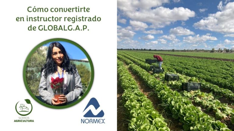 Curso de Auditor&iacute;a Global GAP en Chile