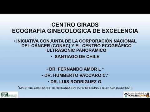Curso de Oncolog&iacute;a Ginecol&oacute;gica en Chile: Formaci&oacute;n Especializada