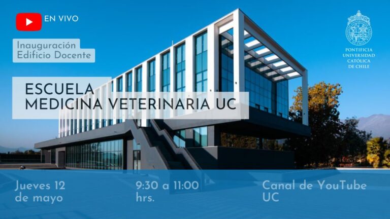 Curso de Veterinaria en la Universidad de Chile: Formaci&oacute;n de Excelencia