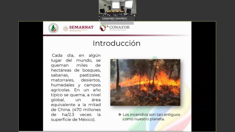 Curso de Incendios Forestales para Bomberos en Chile: Presentaci&oacute;n PPT