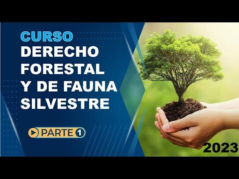 Optimizaci&oacute;n en la Gesti&oacute;n de Recursos Agroforestales en Chile