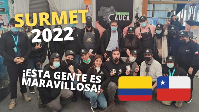 Curso de Barista en Concepci&oacute;n, Chile: Domina el Arte del Caf&eacute;