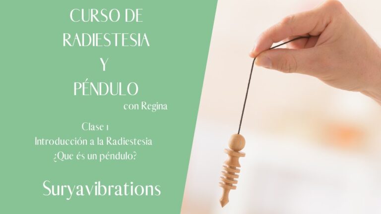 Curso de Auriculoterapia en el Sur de Chile