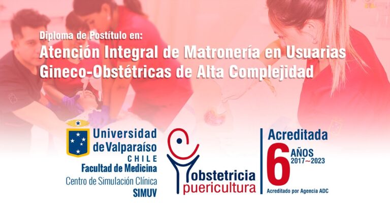 Mejores Cursos de Matroner&iacute;a en Chile