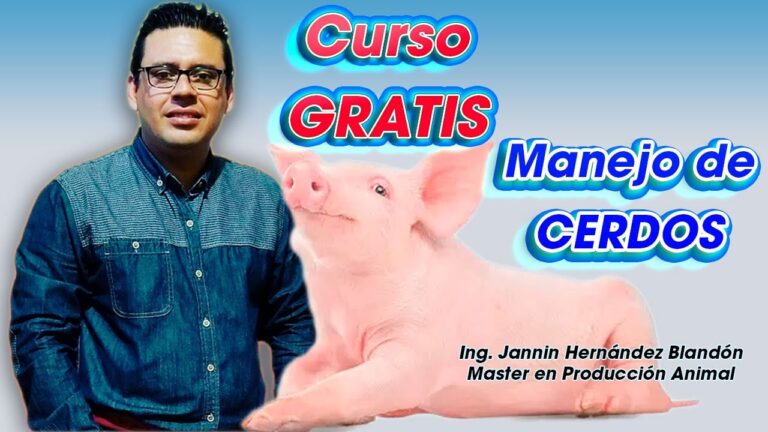 Curso Cervecero en Valpara&iacute;so: Arte y Ciencia de la Cerveza