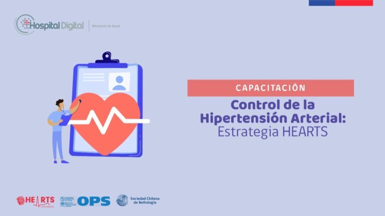 Actualizaci&oacute;n en Enfermedades Cardiovasculares en Chile: Curso Esencial