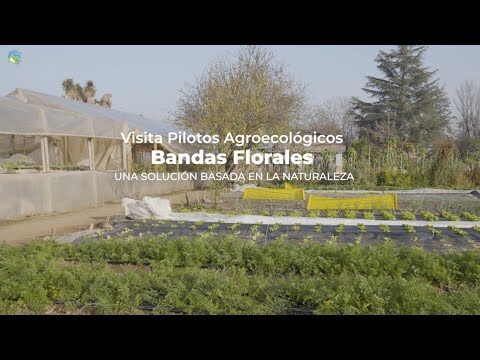 Cursos de Fitocosm&eacute;tica del Gobierno de Chile
