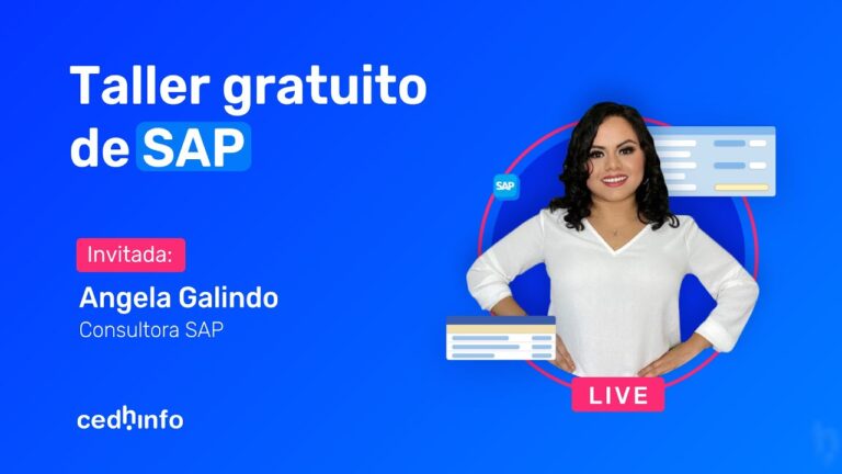 Curso SAP en Santiago de Chile: Optimiza tu Carrera Profesional