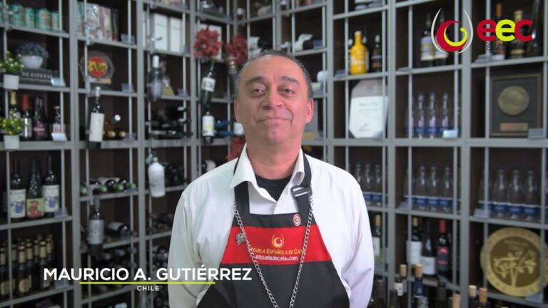 Curso de Sommelier en Chile: Aprende a Conocer y Degustar Vinos