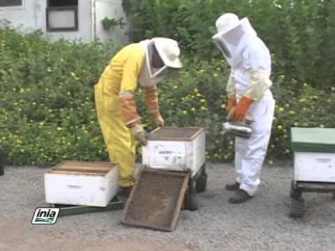 Curso de Control de Calidad en Corchos en Chile