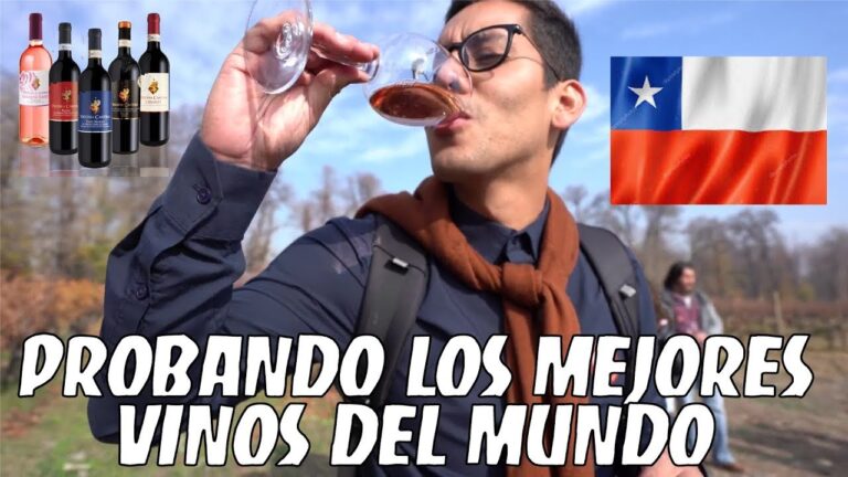 Curso de Vinos y Comida en Santiago, Chile