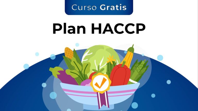 Curso de Puntos Cr&iacute;ticos en Chile – SENCE