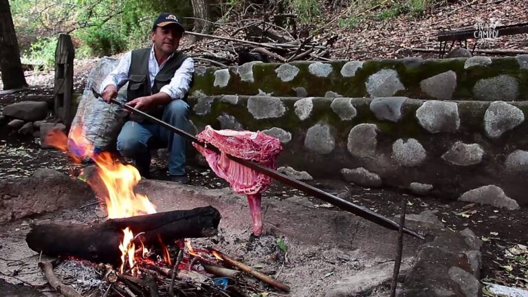 Escapadas Naturales: Cursos y Alojamiento en el Sur de Chile