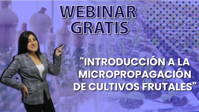 Avances y Oportunidades en el Curso de Biotecnolog&iacute;a Vegetal en Chile