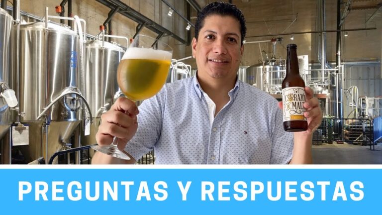 Descubre el Curso de Cerveza en Santiago de Chile