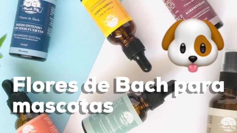 Curso de Flores para Mascotas en Chile