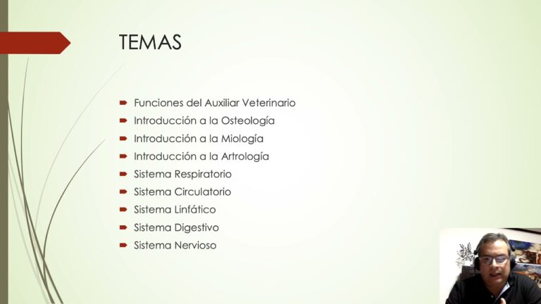 Curso de Ayudante de Veterinaria en Chile: Formaci&oacute;n y Oportunidades
