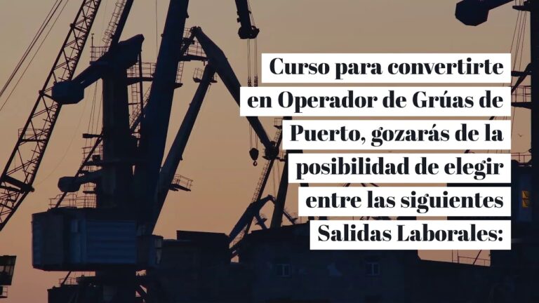Curso de Operador de Gr&uacute;as en Naves Portuarias en Chile