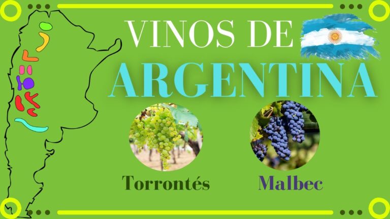 Curso de Ampelograf&iacute;a: Descubre los Vinos de Chile