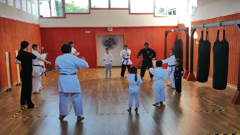 Cursos de Defensa Personal en Concepci&oacute;n: Mejora tu Seguridad y Confianza