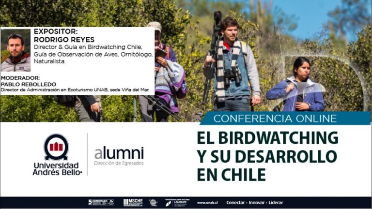 Curso de Aves en Vi&ntilde;a del Mar, Chile
