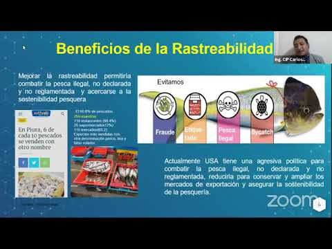 Mejora de Calidad en Plantas Salmoneras: Cursos Esenciales en Chile