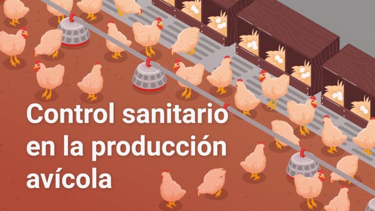 Curso de Bioseguridad Av&iacute;cola en Chile: Mejores Pr&aacute;cticas y Estrategias