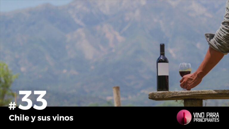 Curso de Vino en Santiago de Chile: Descubre el Arte de la Cata