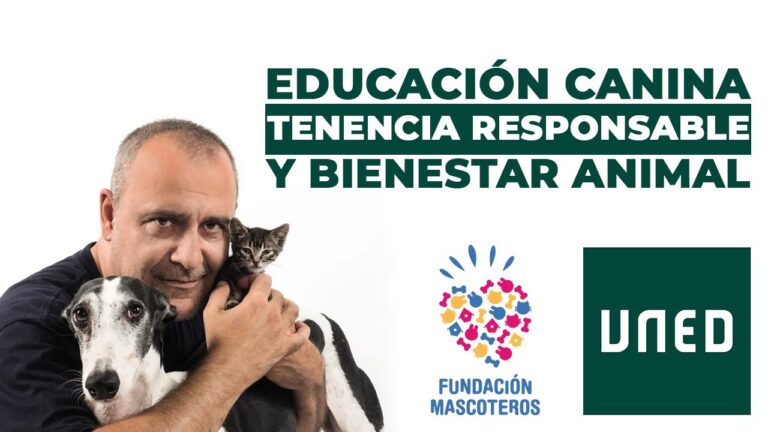 Cursos de Terapia con Gatos en Chile