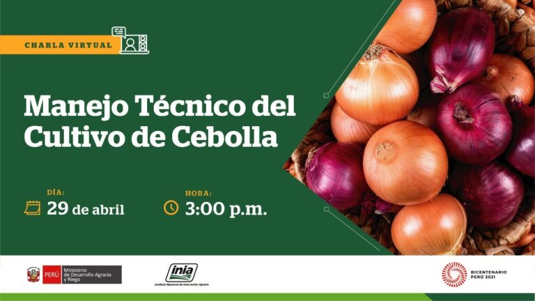 Curso de Manejo de la Plataforma Chile Crece Contigo