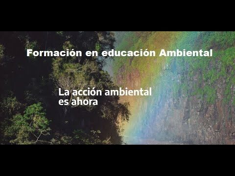 Oportunidades en Cursos Universitarios de Ecolog&iacute;a en Chile