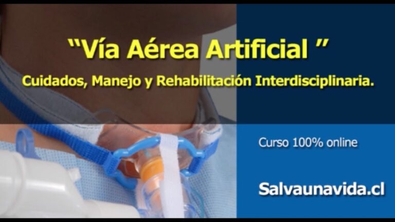 Curso TQT en Chile: Potencia tu Carrera Profesional