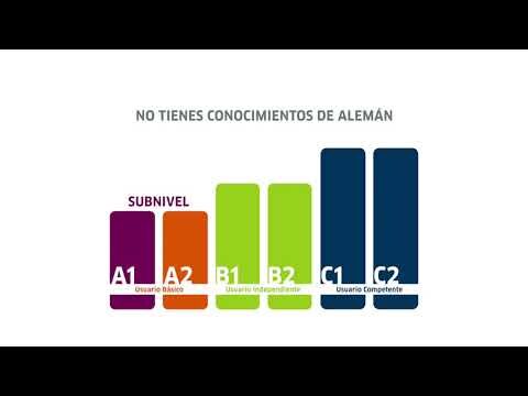Niveles de Cursos en Chile: Gu&iacute;a Completa