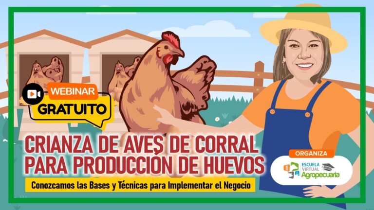 Impulsa tu Negocio: Taller de Avicultura en Chile