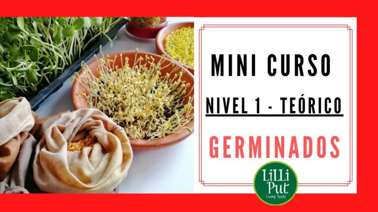 Curso de Germinados en Chile: Cultiva Salud y Sabor