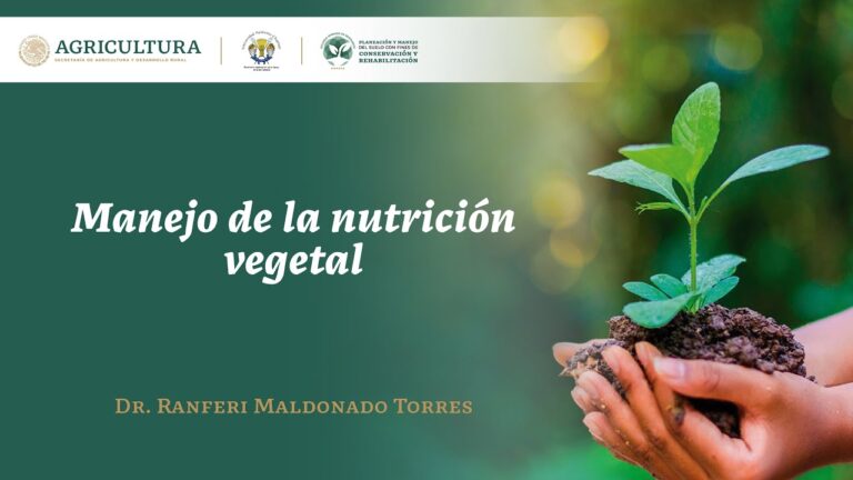 Mejores Cursos de Nutrici&oacute;n Vegetal en Chile