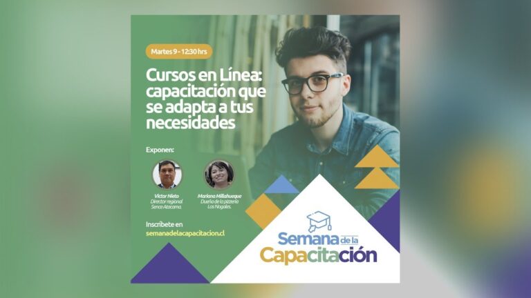 Capacitaci&oacute;n en Trabajo Social en Chile: Oportunidades y Recursos