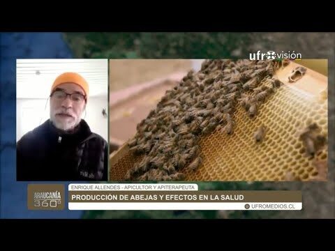 Curso de Apiterapia en Chile: Beneficios y Oportunidades