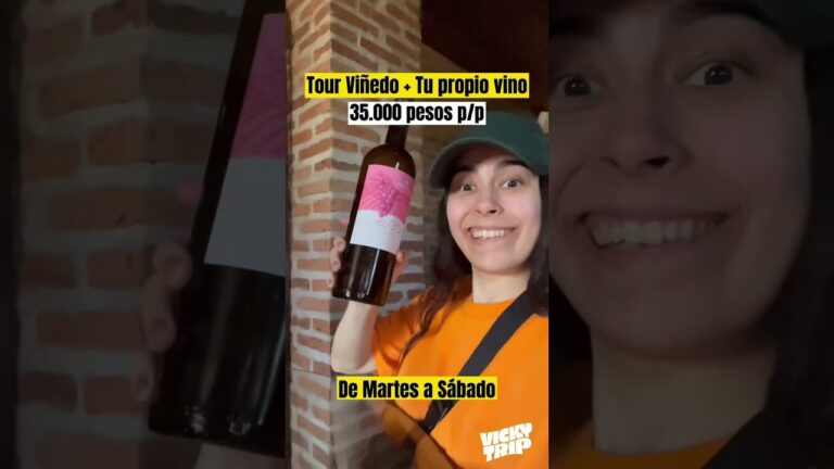 Curso de Sommelier en Santa Cruz, Chile: Descubre el Arte del Vino