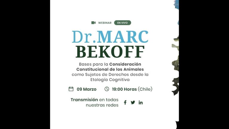 Mejores cursos de etolog&iacute;a animal en Chile