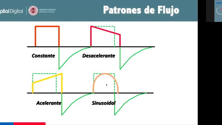 Curso Basal Contryo en Chile: Gu&iacute;a Completa y Optimizada