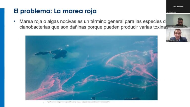 Cursos sobre Floraciones Algales Nocivas en Chile