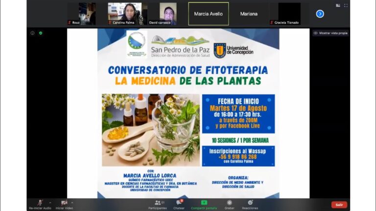 Curso Integral de Herbolaria y Plantas Medicinales en Chile