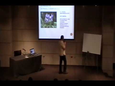 Curso de Herbolaria en Chile: Aprende y Conecta con la Naturaleza