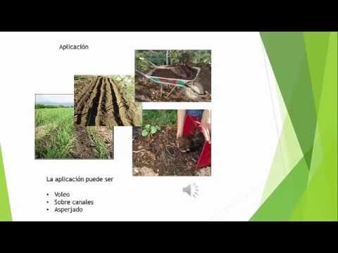Cursos Gratuitos de Lombricultura en Chile: Aprende y Cultiva Sostenible