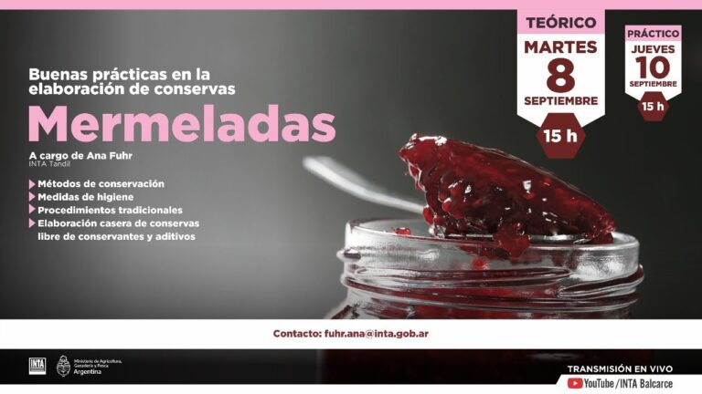 Curso de Conservación de Productos del Mar en Chile: Técnicas y Beneficios