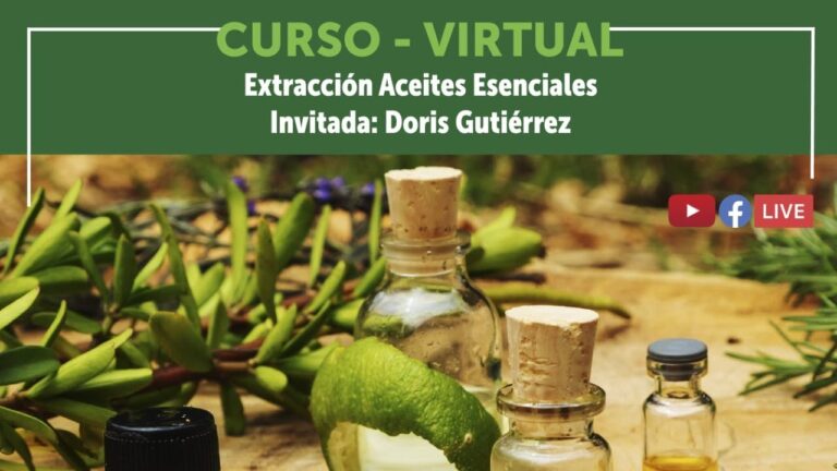 Curso de Aromaterapia en Chile: Transformando Bienestar y Salud
